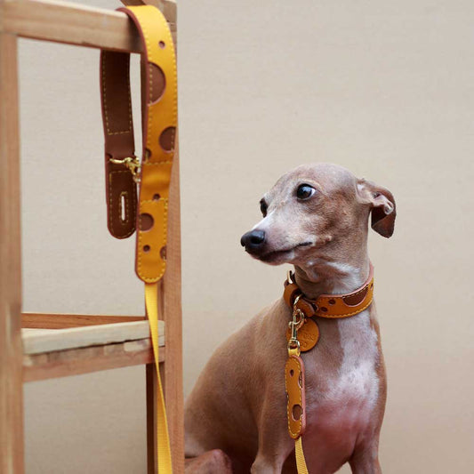 Cheese Lightweight Soft Leather Handle Pet Leash
