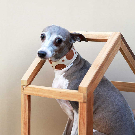 Cheese Wide Padded Soft Leather Dog Collar