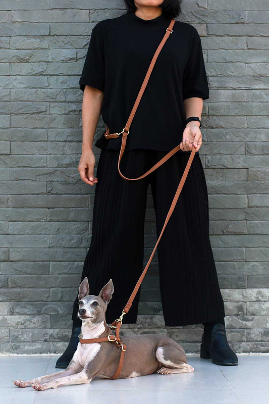 Simply Multifunction Soft Leather Pet Leash - Adjustable Length Hands-free Crossbody Dog Leash