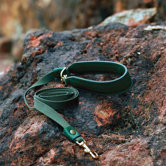 Classic Lightweight Soft Leather Handle Pet Leash