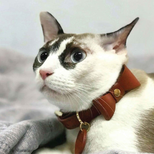 Bow tie Thin Soft Leather Pet Collar