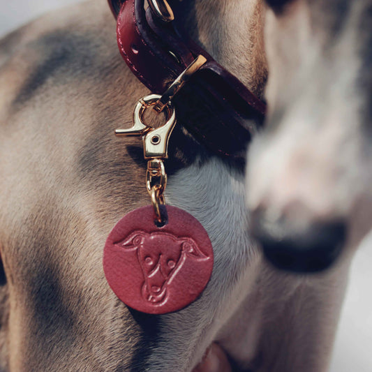 Leather pet tag and keychain