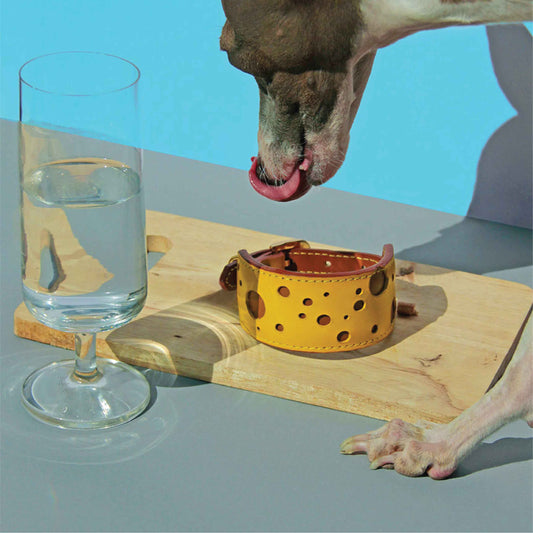Cheese Wide Padded Soft Leather Dog Collar