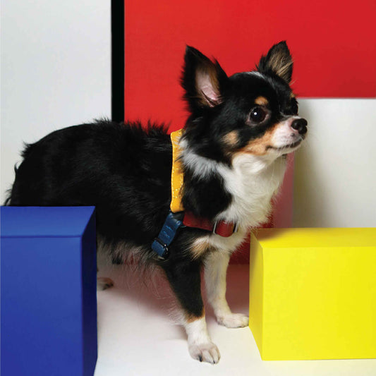 Musée Simply Soft Leather Pet Harness