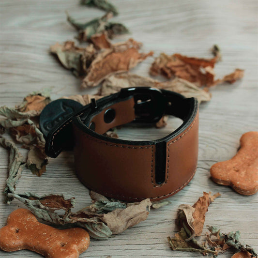 Elliott shirt Wide Padded Soft Leather Dog Collar