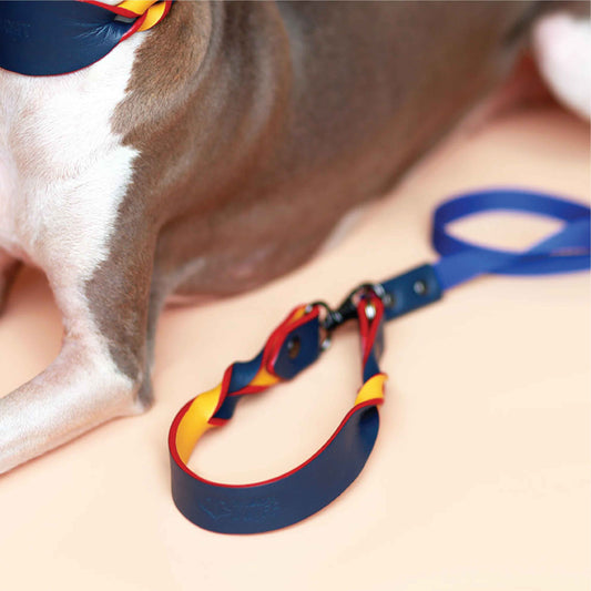 Twist Lightweight Soft Leather Handle Pet Leash