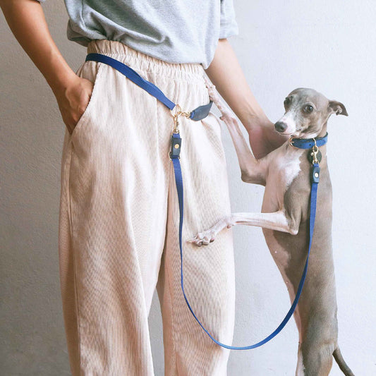 Classic Multifunction Lightweight Soft Leather Handle Pet Leash - Adjustable Length Hands-free Crossbody