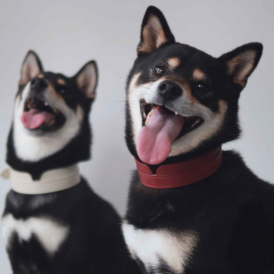 Mandarin shirt Thin Soft Leather Pet Collar