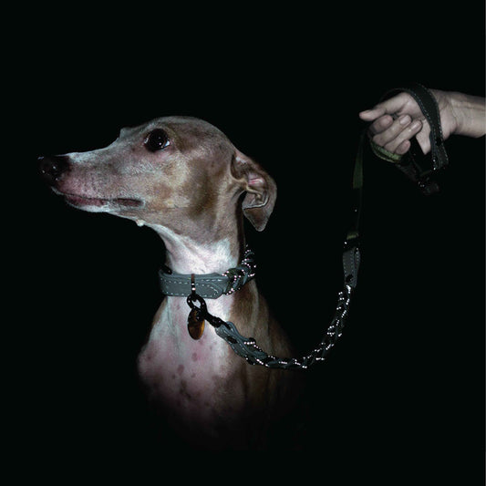 Reflection Soft Leather Pet Leash - Reflective Night-safe Paracord Pet Leash