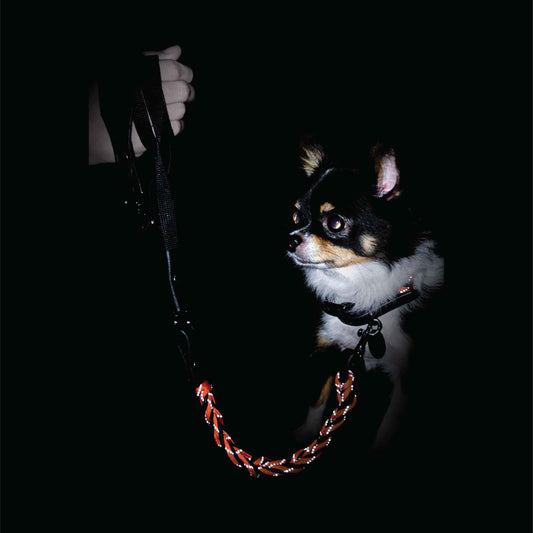 Reflection Soft Leather Pet Leash - Reflective Night-safe Paracord Pet Leash - Halloween edition