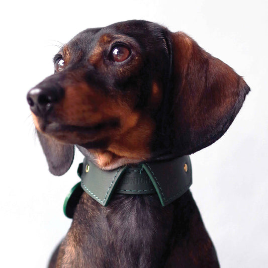 Spread shirt Thin Soft Leather Pet Collar