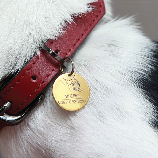 Pet ID tag gold stainless steel (THIN) Personalized engraved