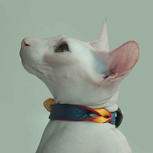 Twist Thin Soft Leather Pet Collar