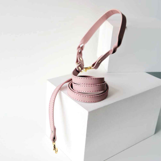 Twist Soft Leather Pet Leash - Monophonic