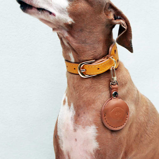 Leather pet AirTag case holder and keychain with name