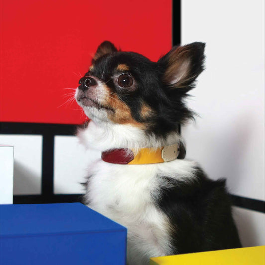 Musée Thin Soft Leather Pet Collar - Sustainable pet collar - Eco-Friendly