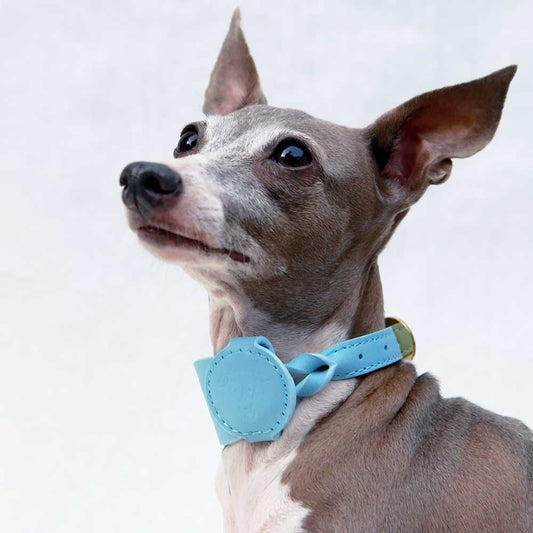 Leather pet AirTag case holder with name