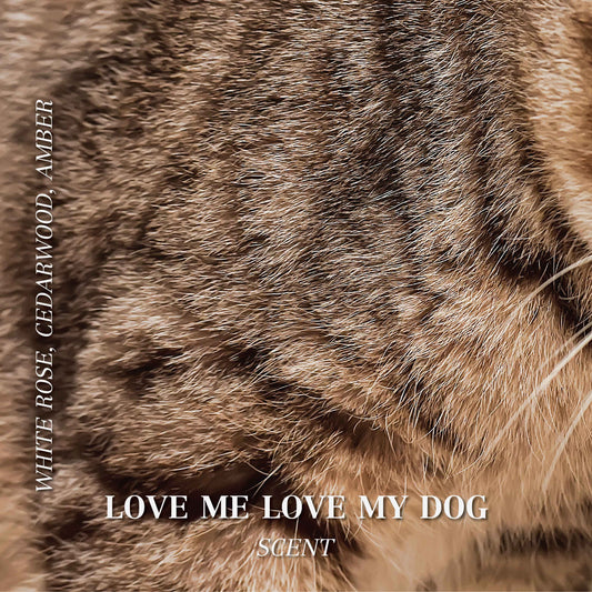 Pet odor candles - Scented soy candle - Love me love my dog scent