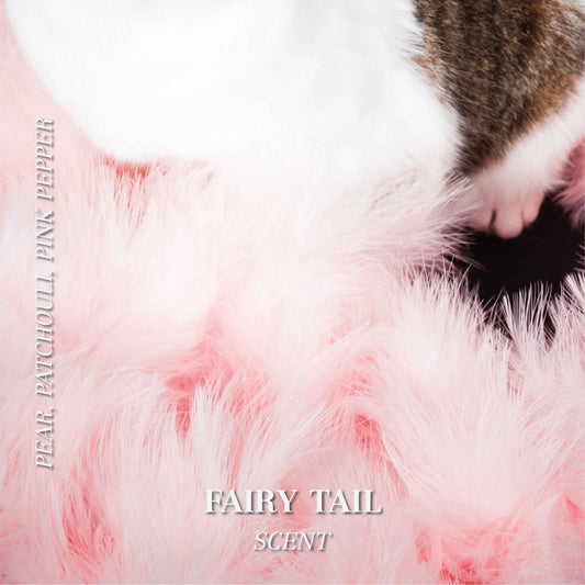 Pet odor candles - Scented soy candle - Fairy Tail scent