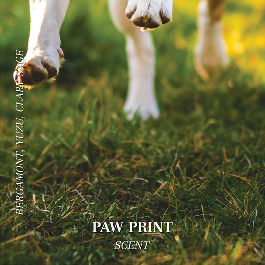 Pet odor candles - Scented soy candle - Paw print scent