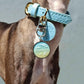 Resin Pet ID Tag, Personalized Stainless Steel Dog Cat Name Tag | Daylight