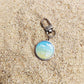 Resin Pet ID Tag, Personalized Stainless Steel Dog Cat Name Tag | Daylight