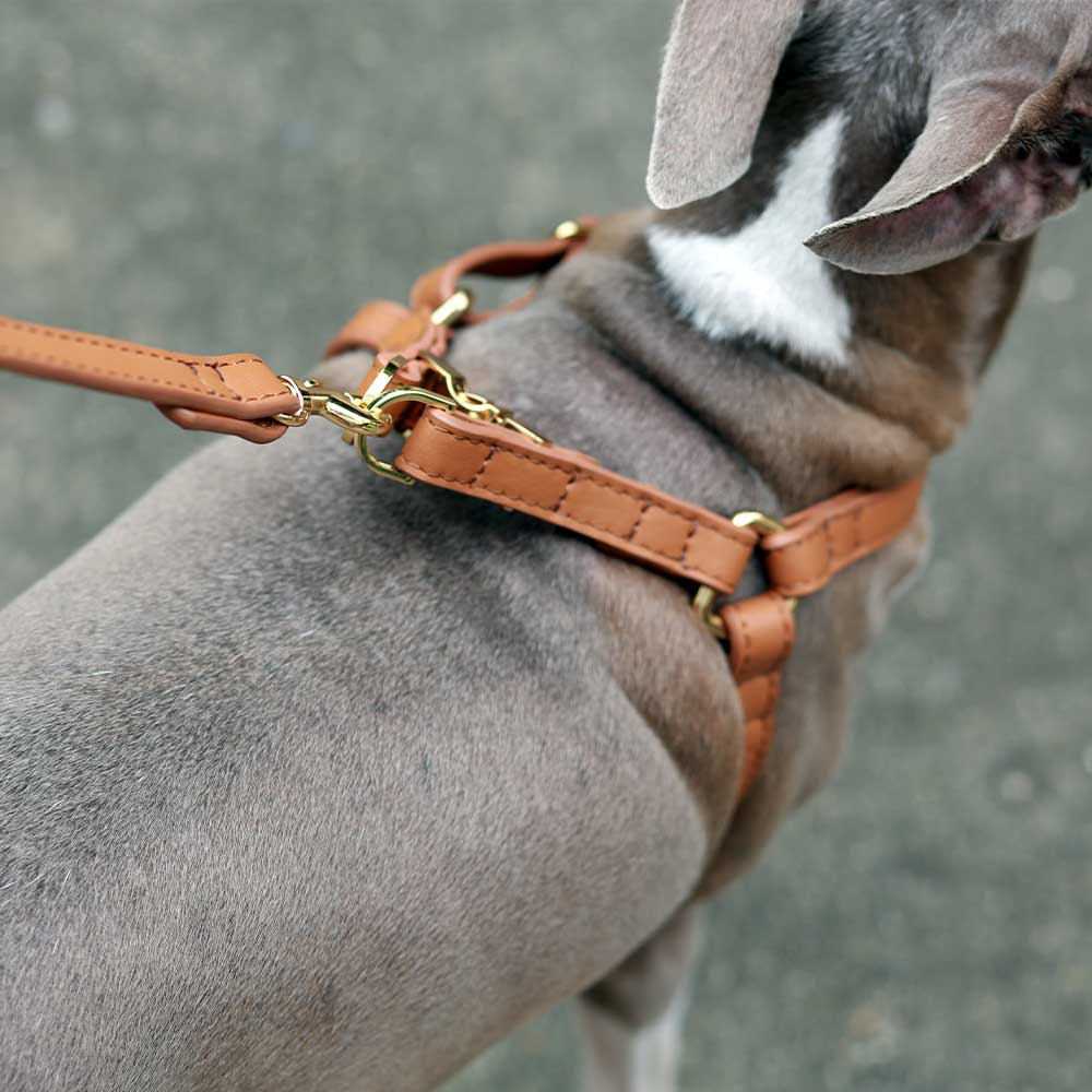 Simply Soft Leather Pet Harness