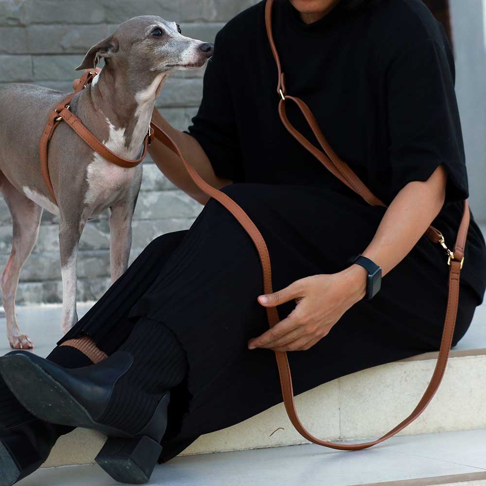Simply Multifunction Soft Leather Pet Leash - Adjustable Length Hands-free Crossbody Dog Leash