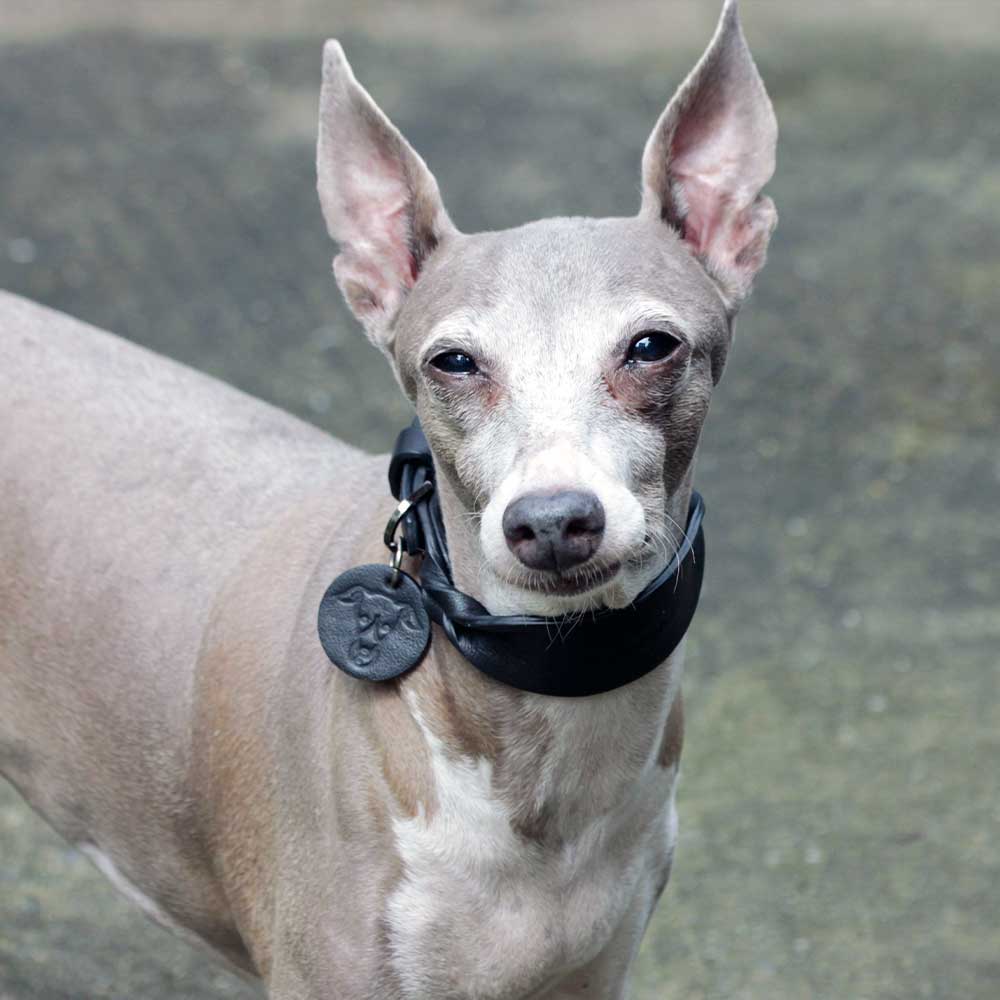 Twist Wide Soft Leather Dog Collar - Black on Black