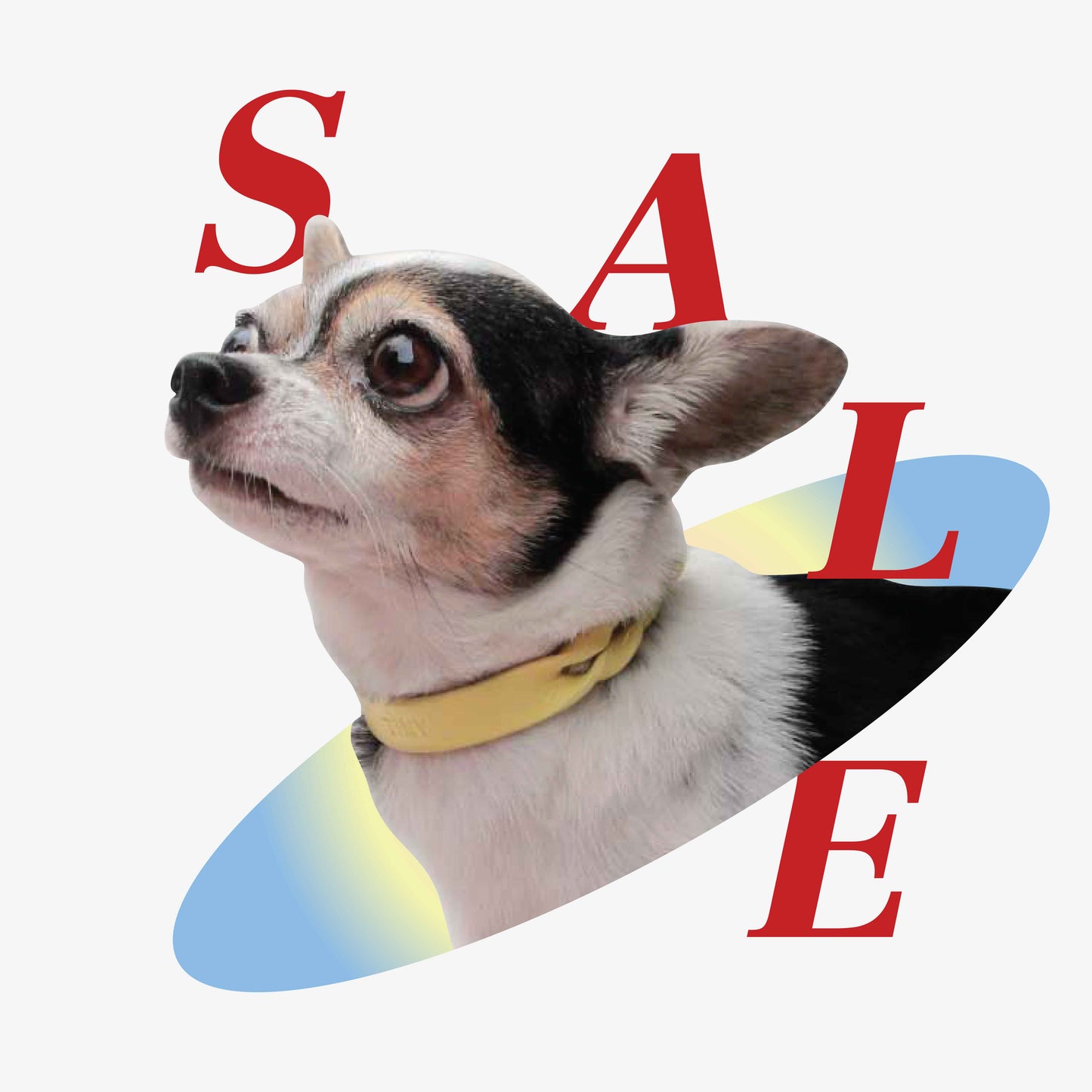 [SALE30%] Twist Thin Soft Leather Pet Collar - Monophonic