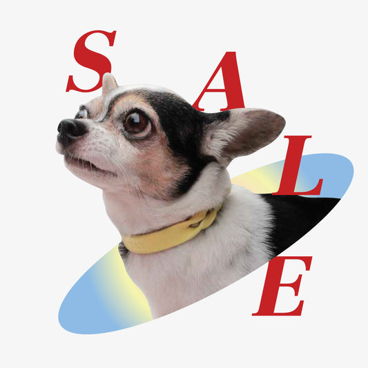 [SALE30%] Twist Thin Soft Leather Pet Collar - Monophonic