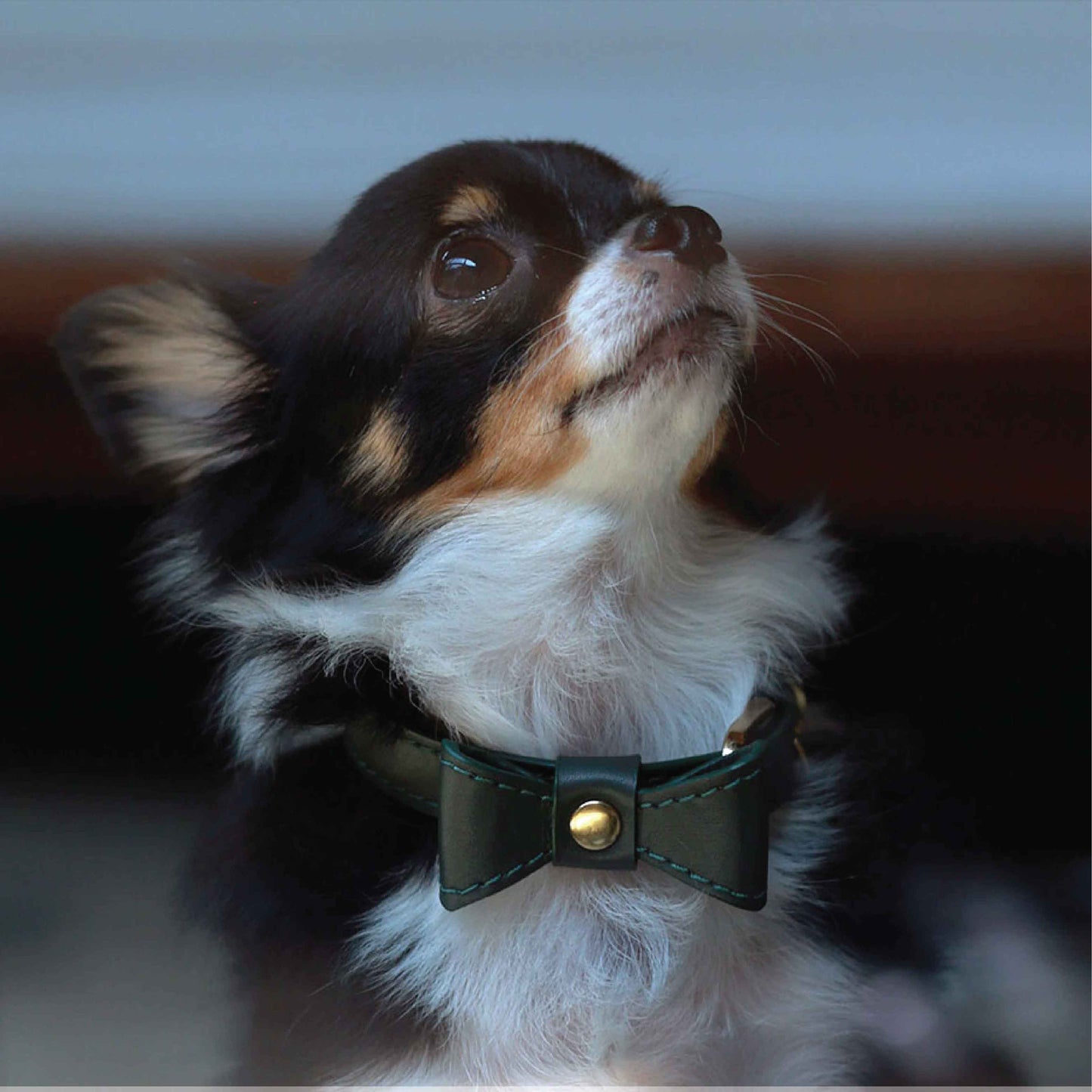 Bow tie Thin Soft Leather Pet Collar