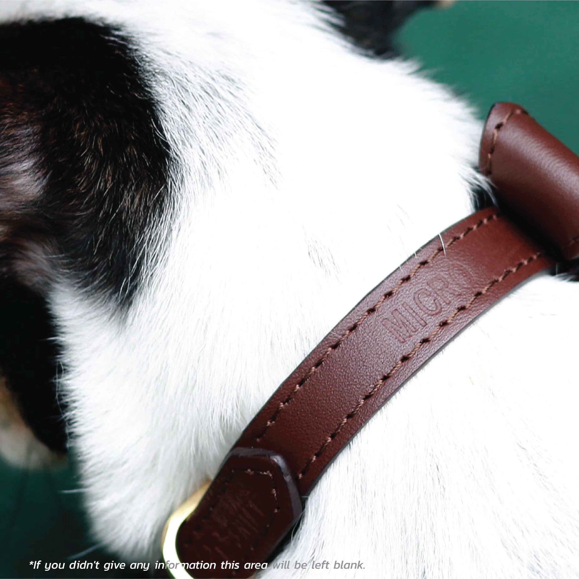 Bow tie Thin Soft Leather Pet Collar – mr-mrs-sniff