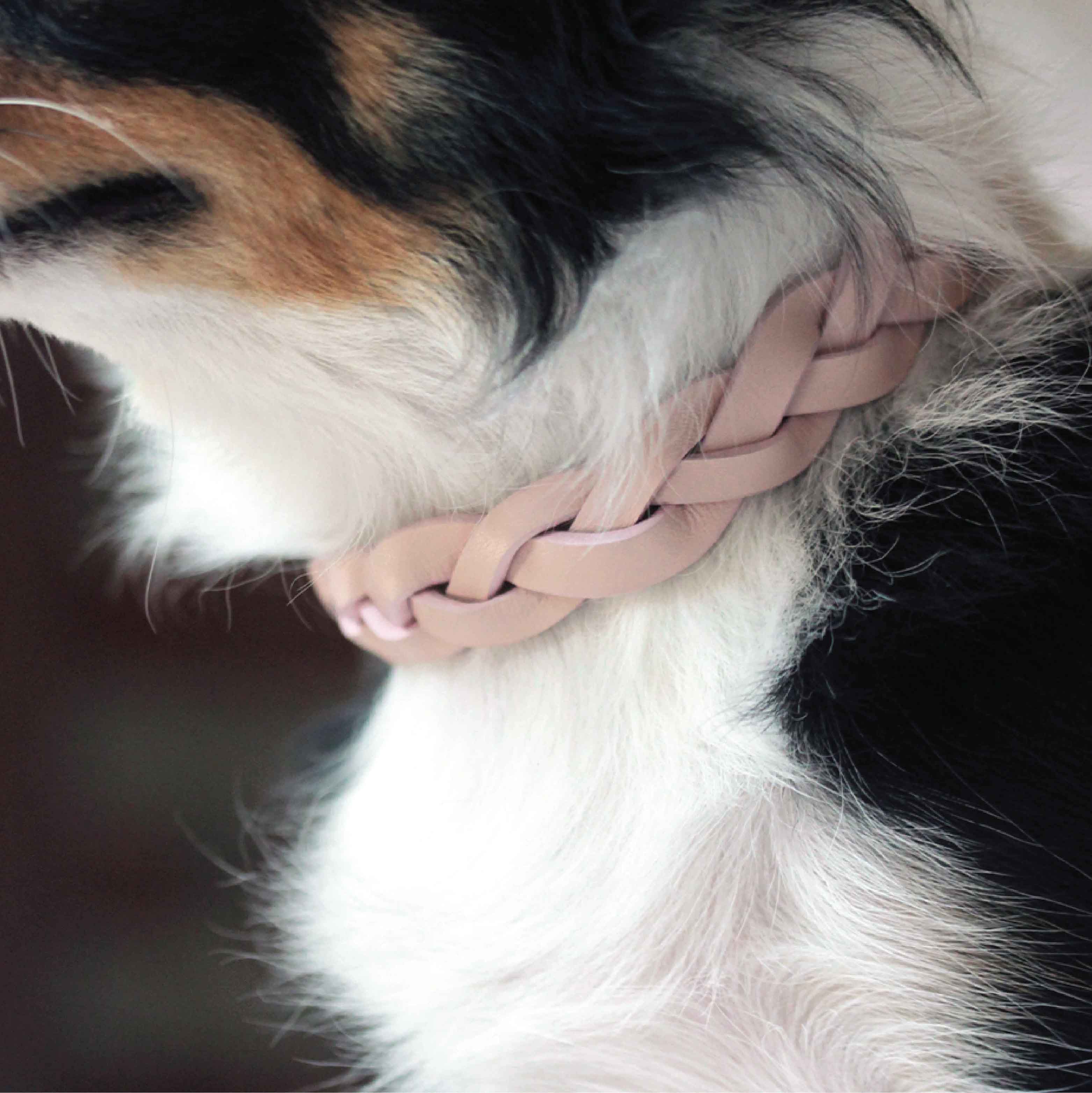 Knit dog outlet collar