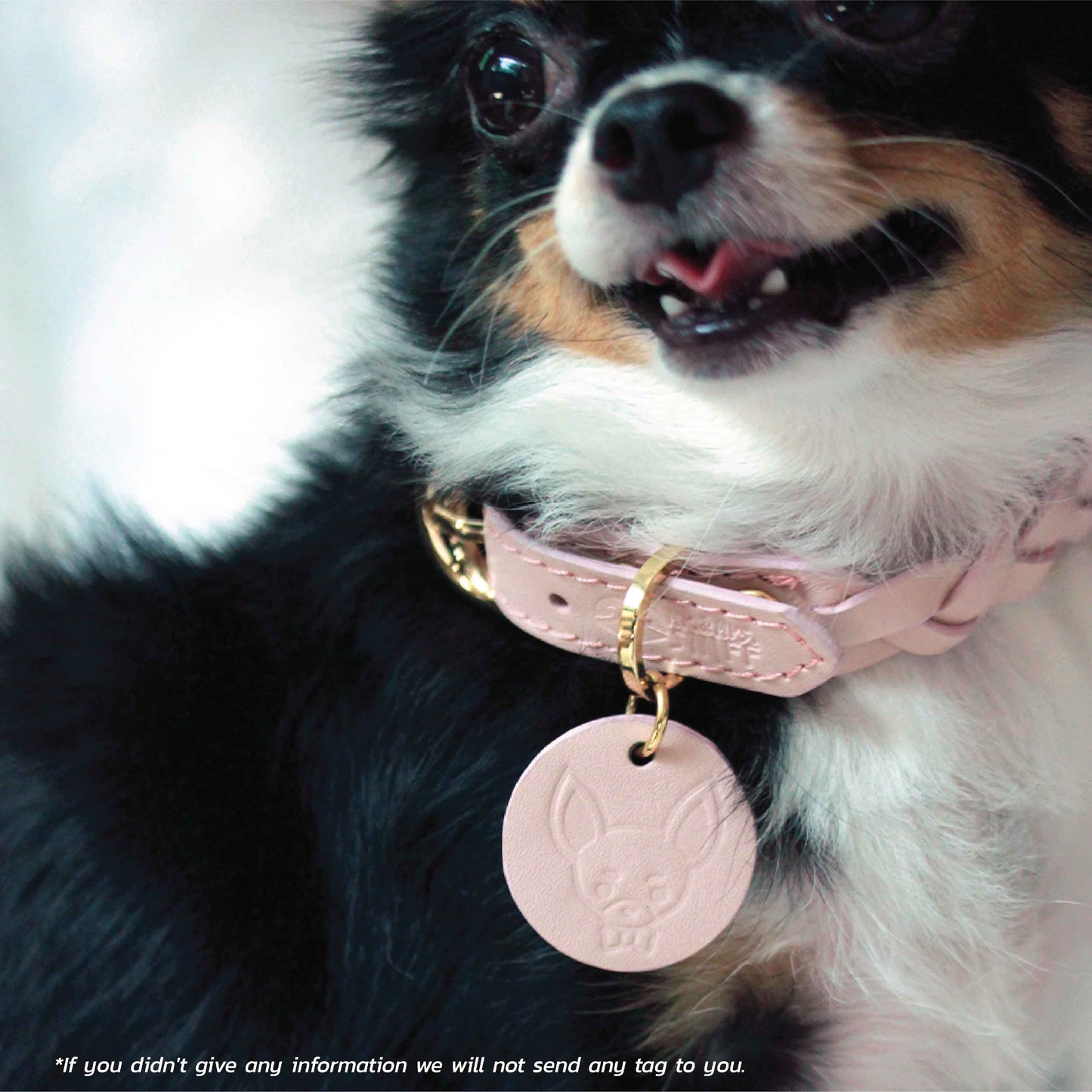 Knit Thin Soft Leather Pet Collar