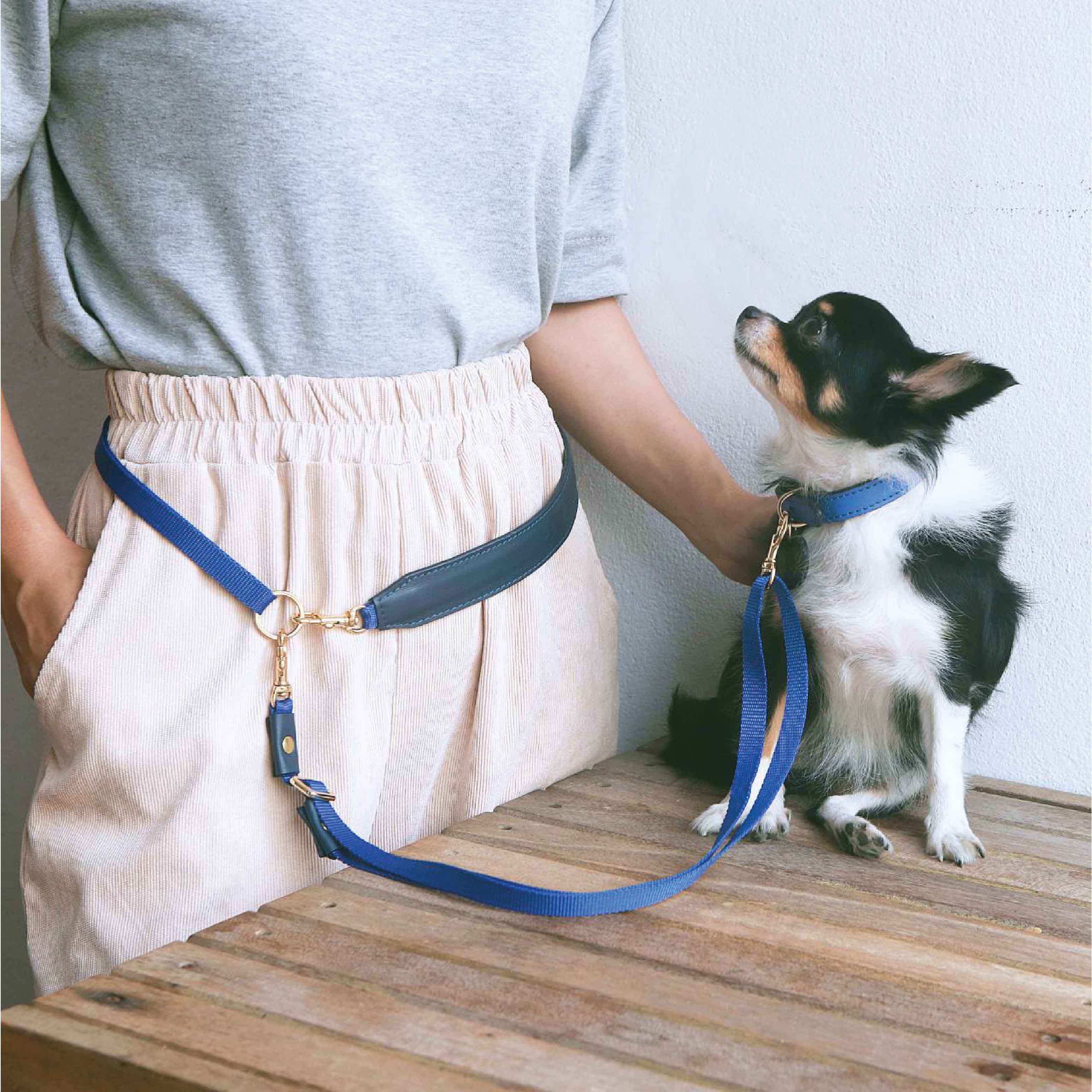 Crossbody 2024 dog leash