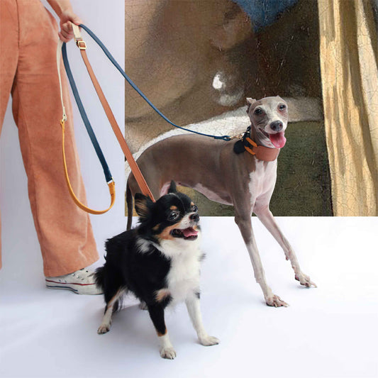 Musée Multifunction Soft Leather Pet Leash - Adjustable Length Hands-free Crossbody Dog Leash