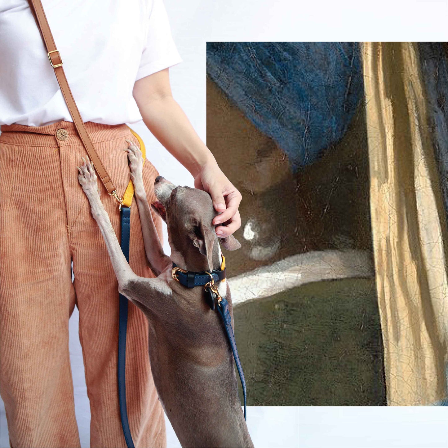Musée Simply 多功能軟皮寵物皮帶 - 可調式長度免持斜背狗皮帶