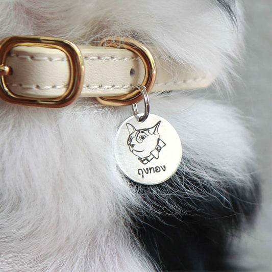 Pet ID tag silver stainless steel (THIN) Personalized engraved