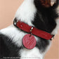 Twist Thin Soft Leather Pet Collar