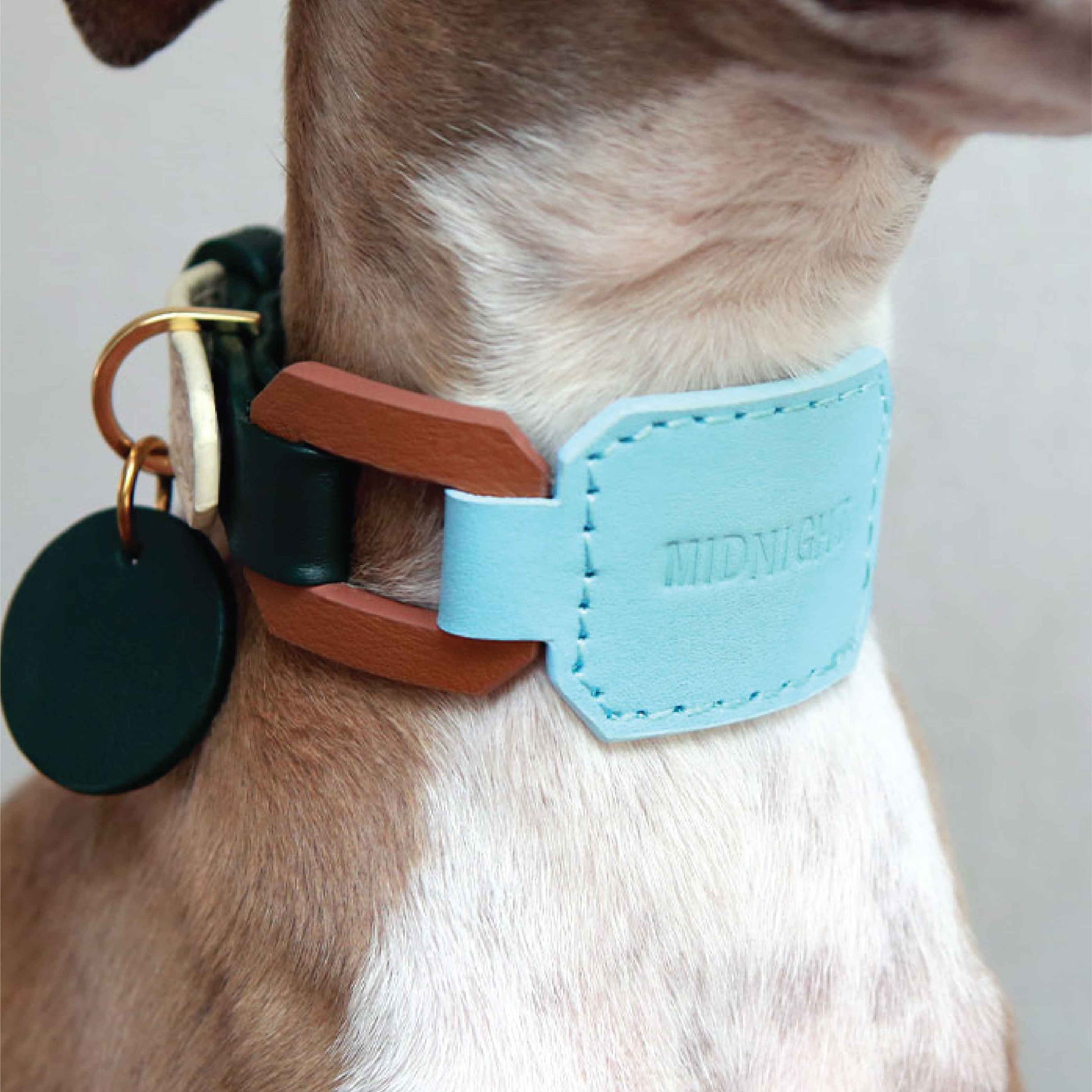 Soft leather wide dog collar. Personalized Italian greyhound collar, Whippet collar with name, Sighthound collar